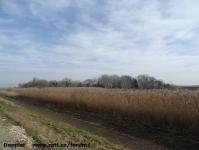 Imagine atasata: Bega - 2015.01.17 - 149.jpg